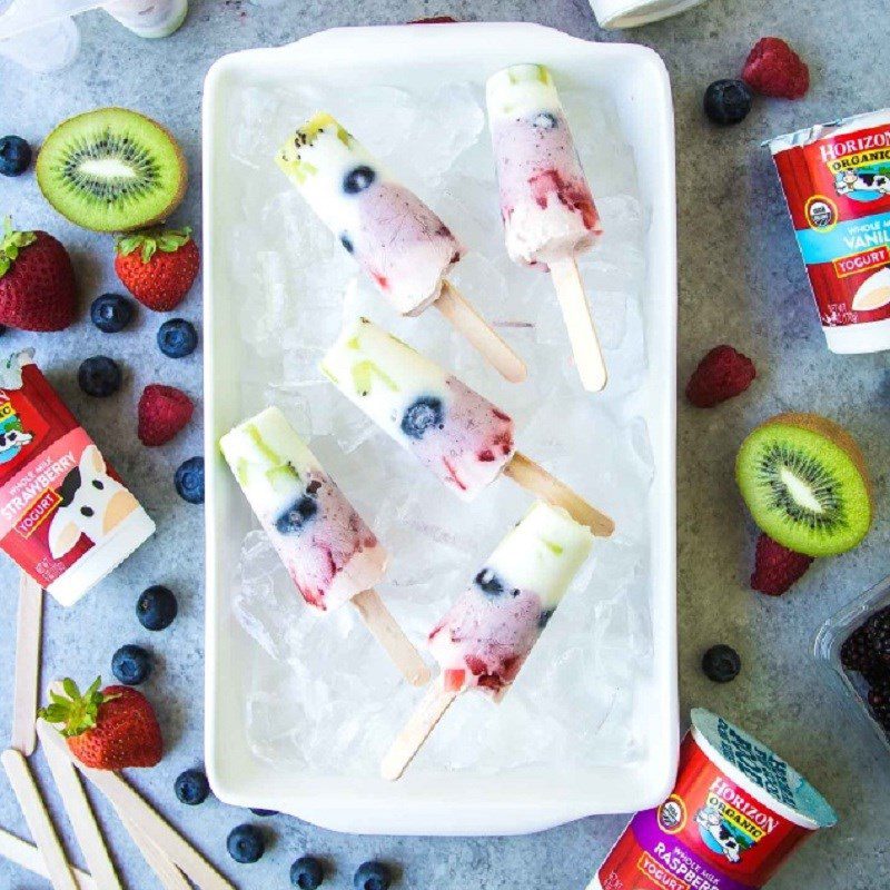 Step 3 Final Product Yogurt Fruit Ice Cream