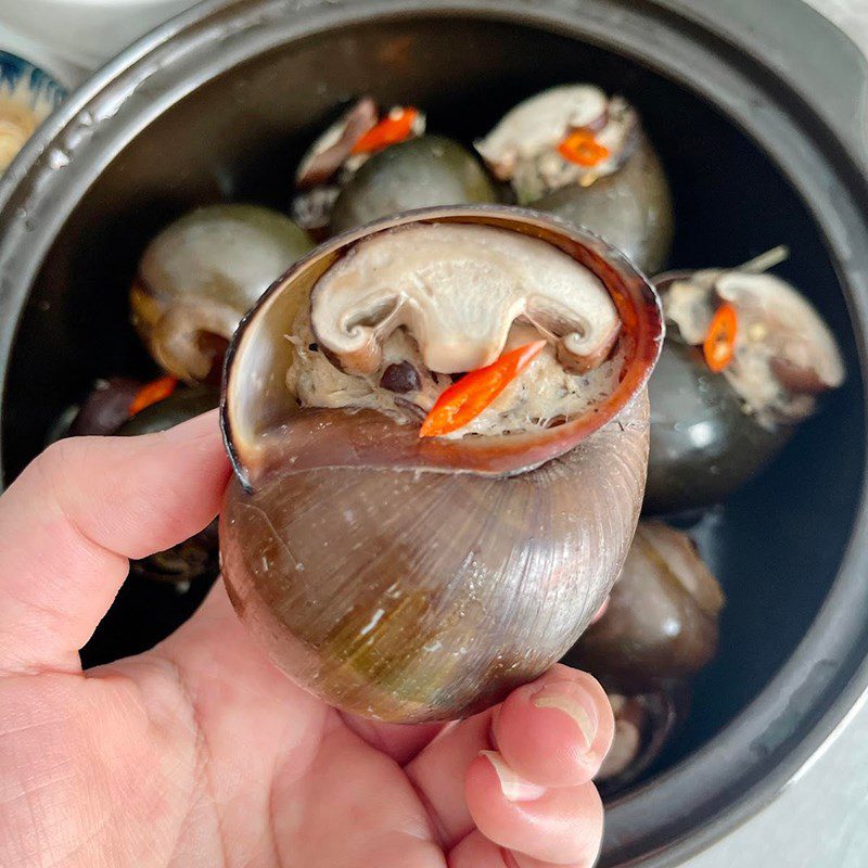 Step 5 Final Product Stuffed steamed snails with mushrooms