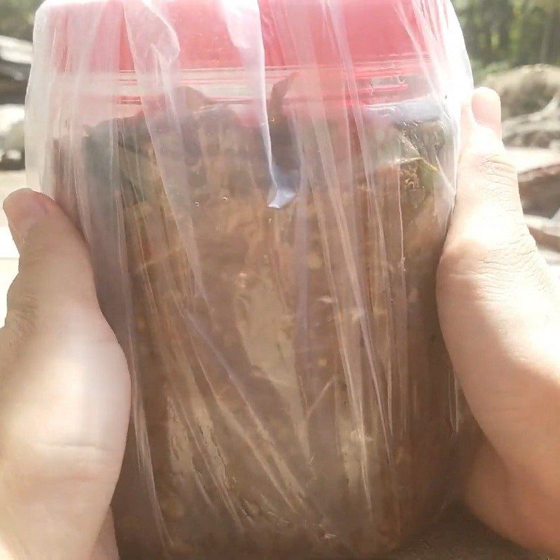 Step 3 Ferment anchovy fish sauce