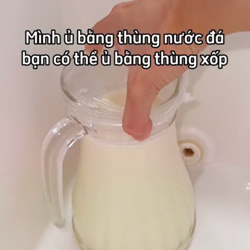 Step 3 Fermenting cheese yogurt Cheese yogurt with young green rice (Recipe from the TikTok channel Let's Cook with TasteVN)
