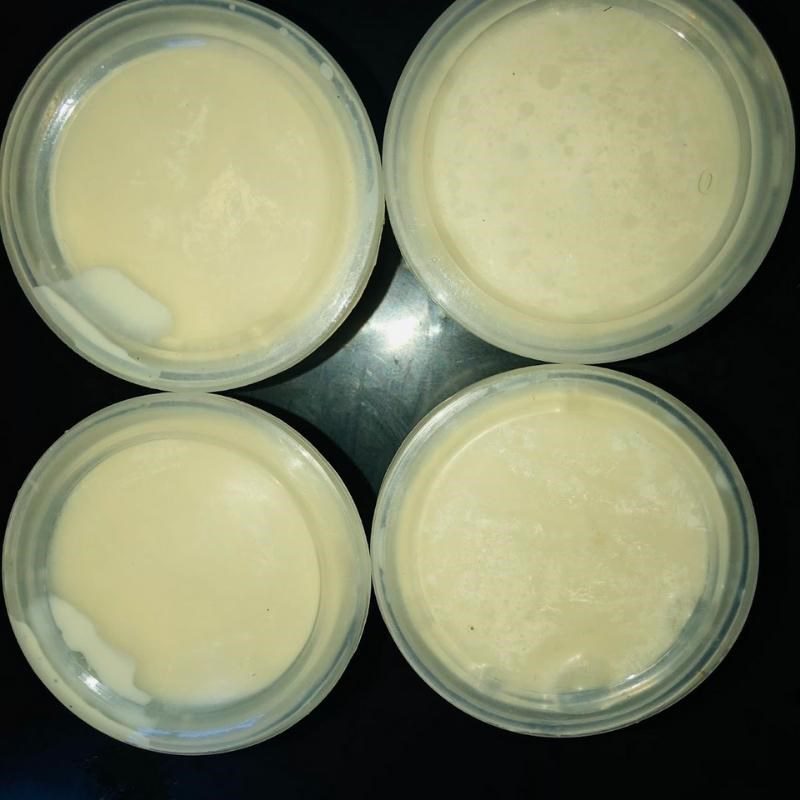 Step 3 Ferment the yogurt cheese Yogurt cheese