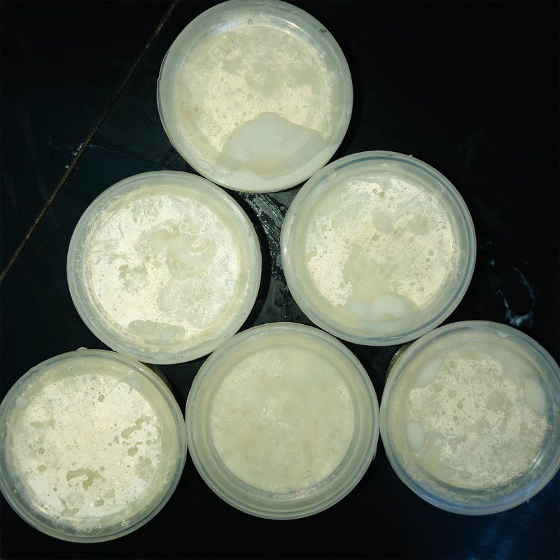 Step 4 Fermenting Aloe Vera Cheese Yogurt Aloe Vera Cheese Yogurt