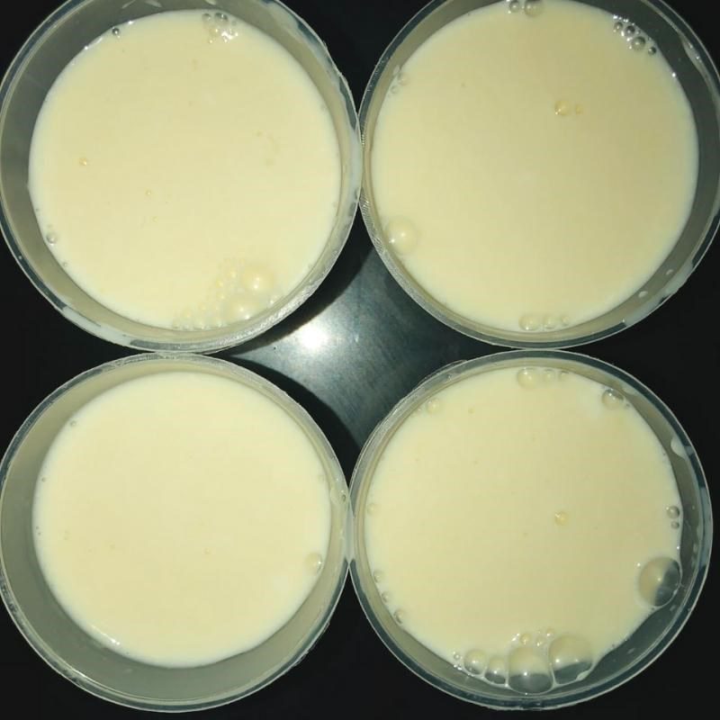 Step 3 Ferment the yogurt cheese Yogurt cheese