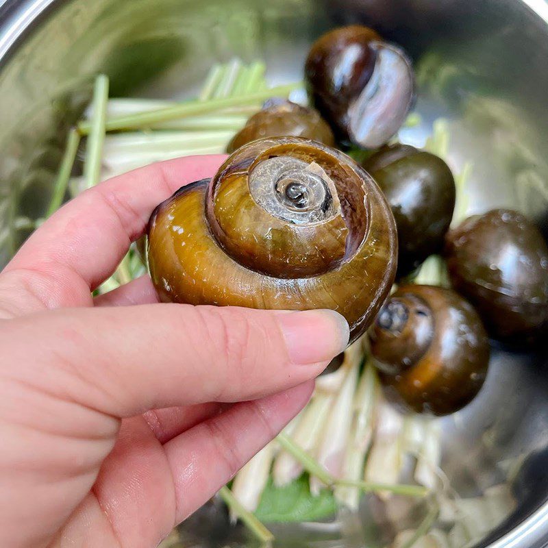 Step 2 Steaming and cutting the snails Snail meat steamed in banana leaves