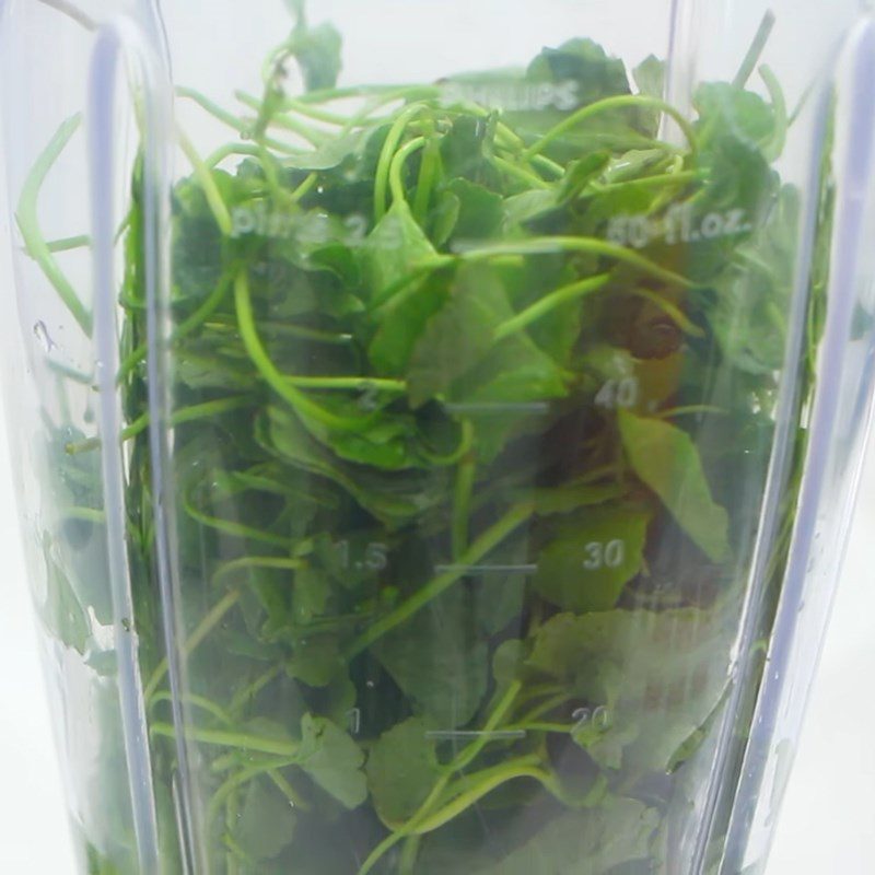 Step 2 Blend and filter the water from the pennywort