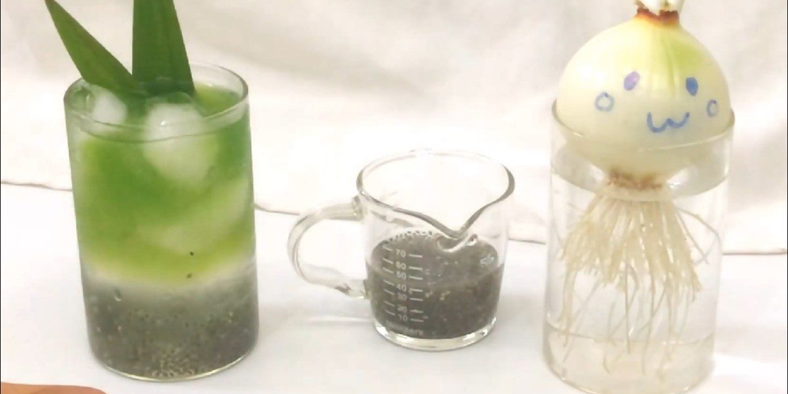 2 ways to make sweet chia seed coconut water refreshing cool drink 15322