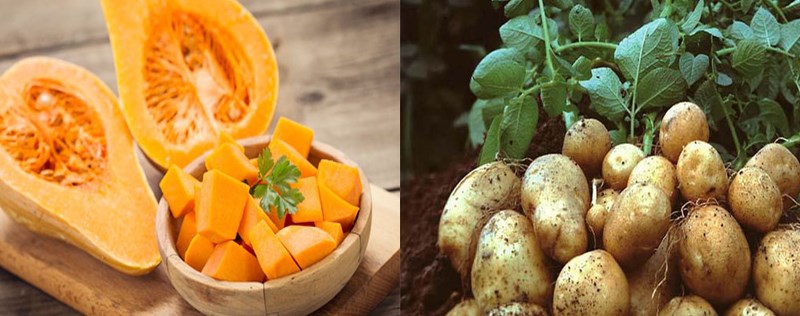 Ingredients for vegetarian soup
