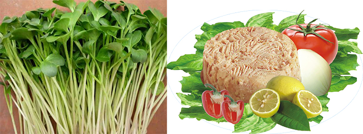 Ingredients for dish 3 recipes for tuna salad