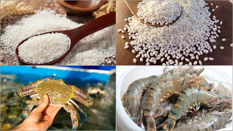 Ingredients for the dish 3 ways to cook crab porridge