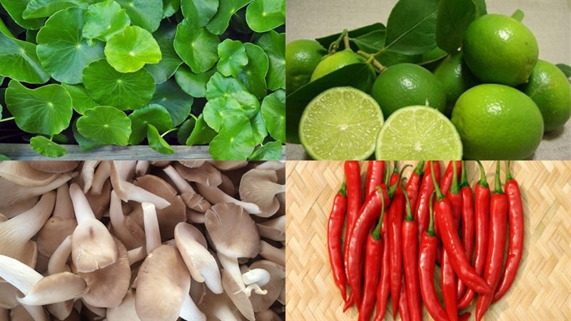 Ingredients for vegan pennywort salad