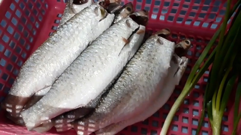 Ingredients for braised fish dish