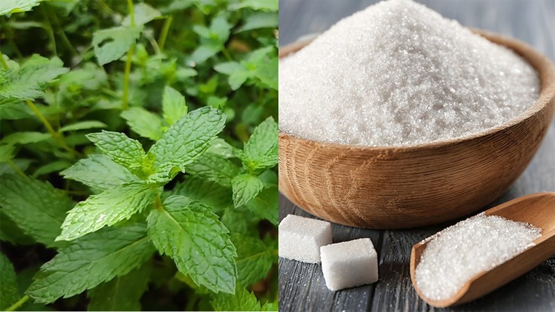 Ingredients for mint syrup