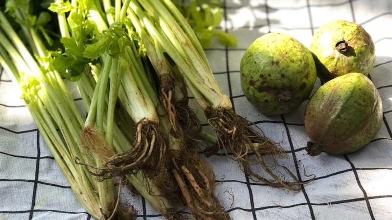 Ingredients for celery and guava juice