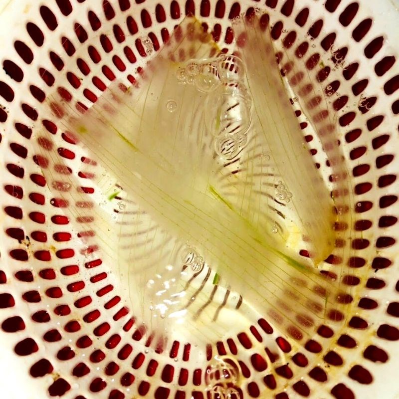Step 1 Prepare the ingredients for Aloe Vera Jelly