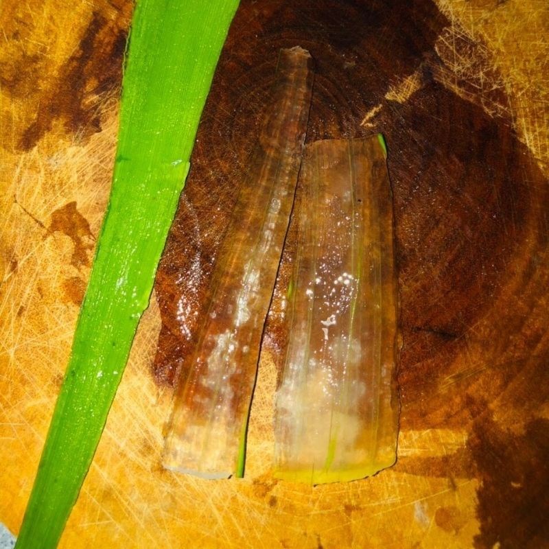 Step 1 Prepare the ingredients for Aloe Vera Jelly