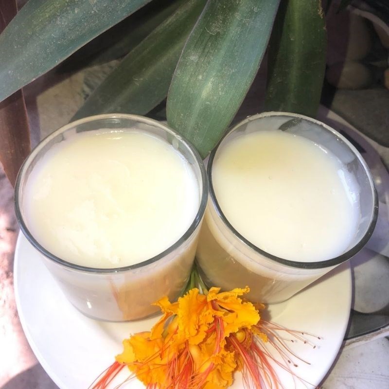 Step 4 Final product Aloe vera jelly