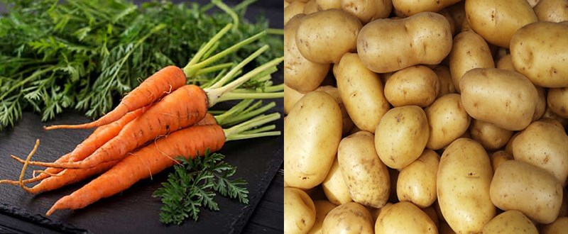 Ingredients for vegetarian soup