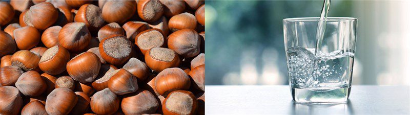 Ingredients for 2 ways to make hazelnut milk