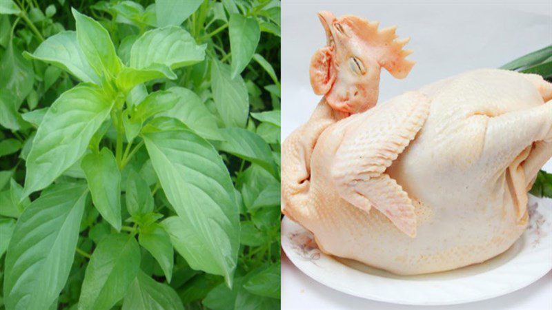 Ingredients for sour chicken soup and chicken soup with Vietnamese balm