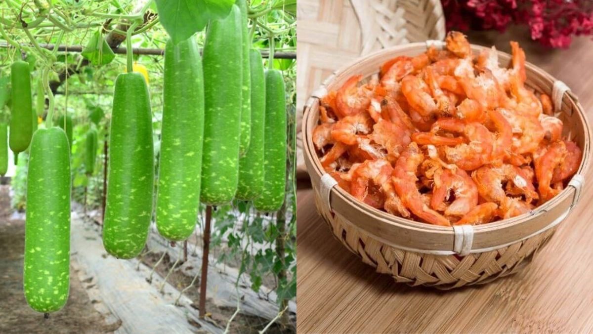 Ingredients for stir-fried gourd with dried shrimp