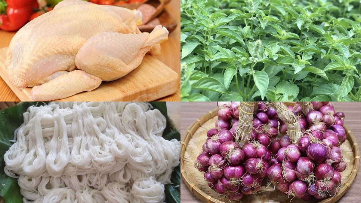 Ingredients for chicken noodle soup with Vietnamese coriander