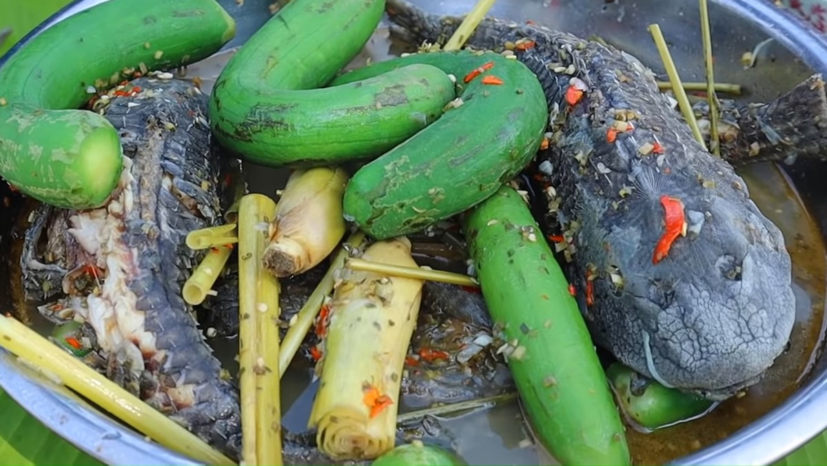 Grilled Catfish with Young Bottle Gourd
