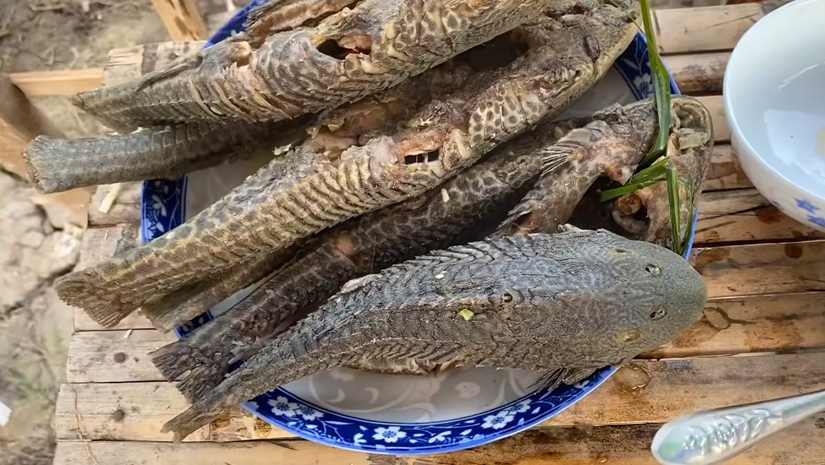 Steamed glass catfish with lemongrass