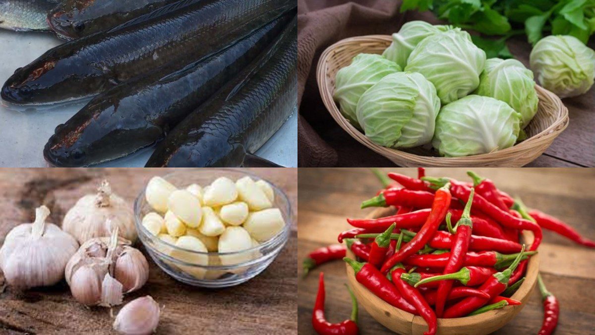 Ingredients for steamed snakehead fish with cabbage