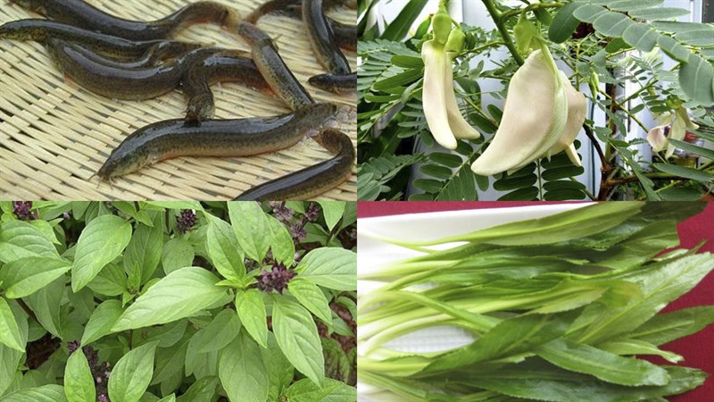 Ingredients for Eel Soup Recipe