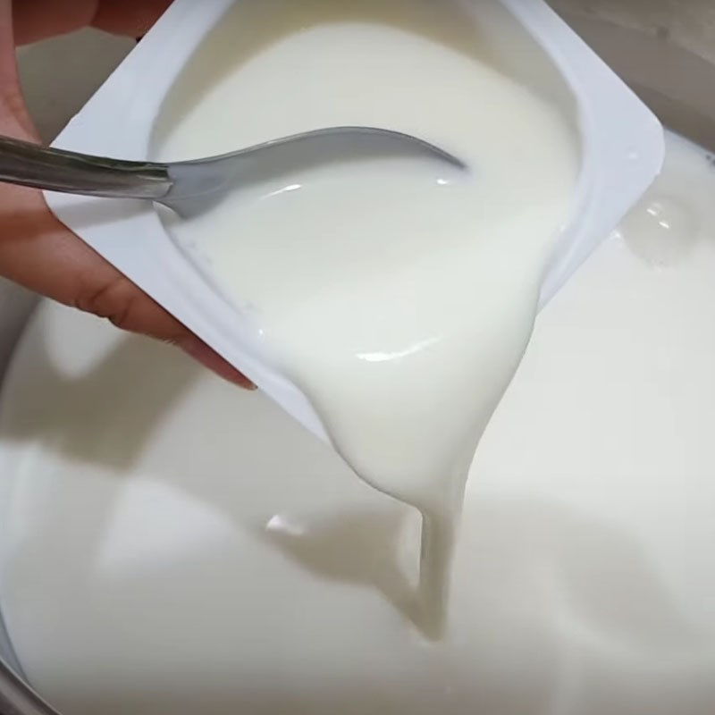 Step 2 Add the yogurt starter to the fresh milk Sugar-free yogurt