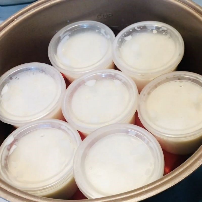 Step 3 Pour into molds and incubate Gelatin yogurt