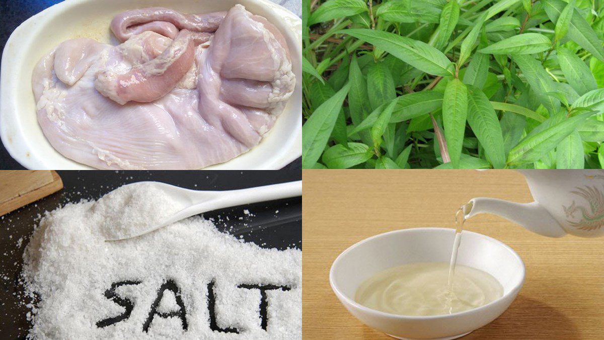 Ingredients for stir-fried pig's stomach with Vietnamese coriander