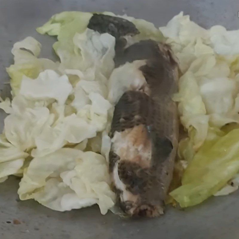 Step 4 Steamed Fish Steamed Snakehead Fish with Cabbage