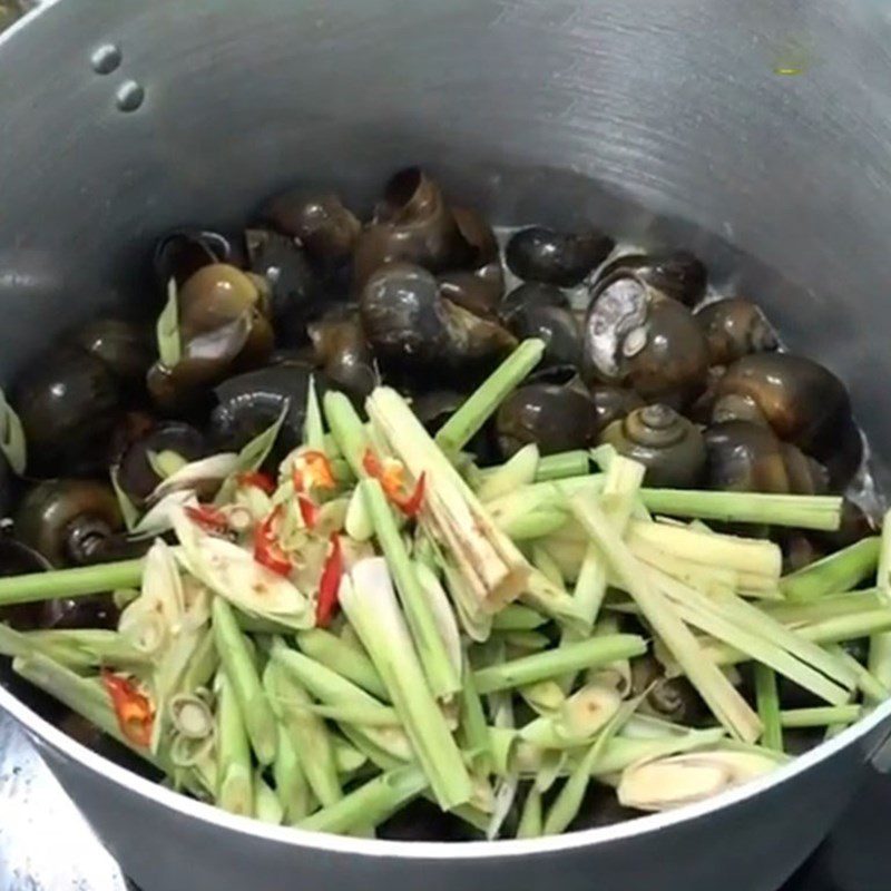 Step 3 Steamed snails with lemongrass and coconut water Steamed snails with lemongrass and coconut milk