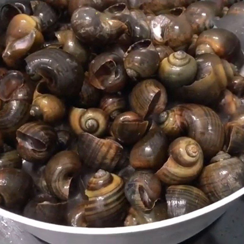 Step 3 Steamed snails with lemongrass and coconut water Steamed snails with lemongrass and coconut milk