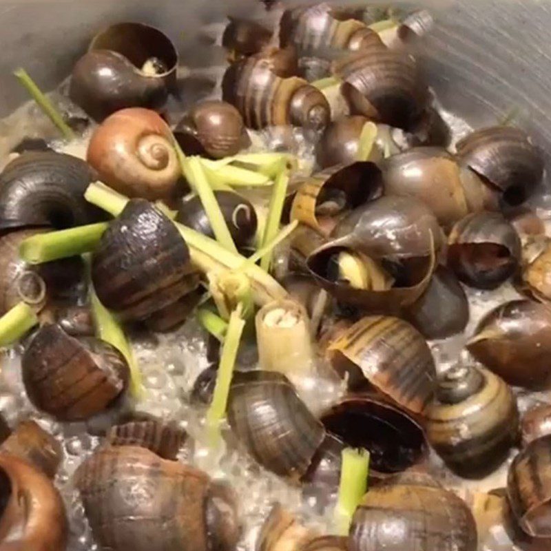 Step 3 Steamed snails with lemongrass and coconut water Steamed snails with lemongrass and coconut milk