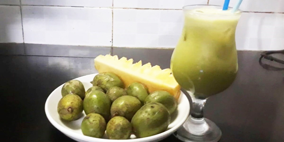 how to make fruit juice sour sweet refreshing 11526