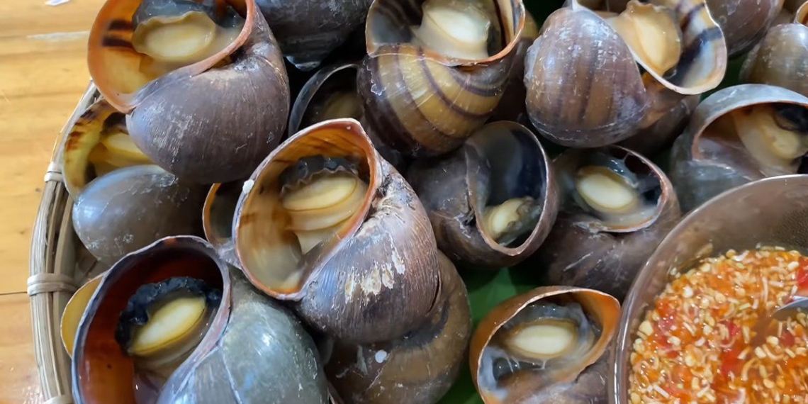 how to make grilled snails with dipping fish sauce delicious te buot 09109