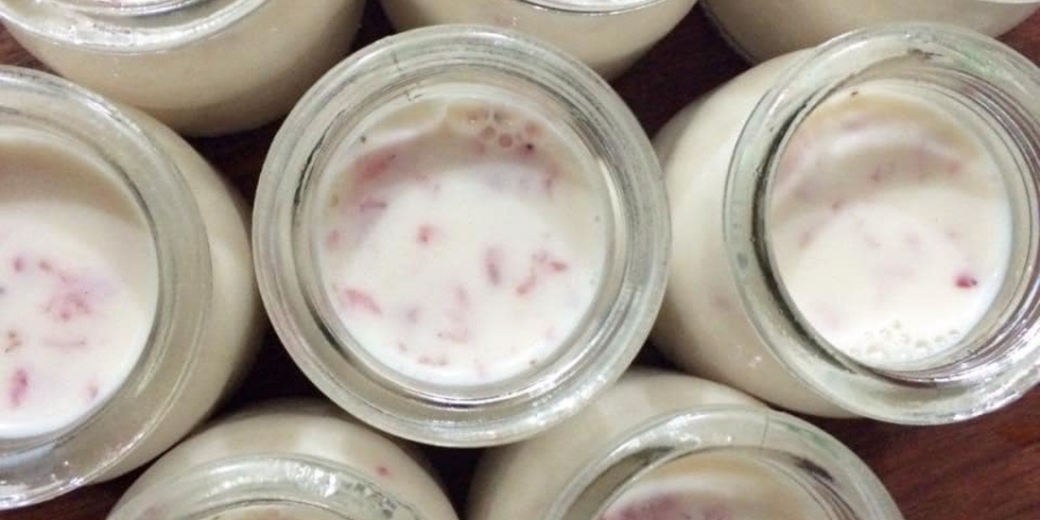 how to make strawberry yogurt delicious 02283