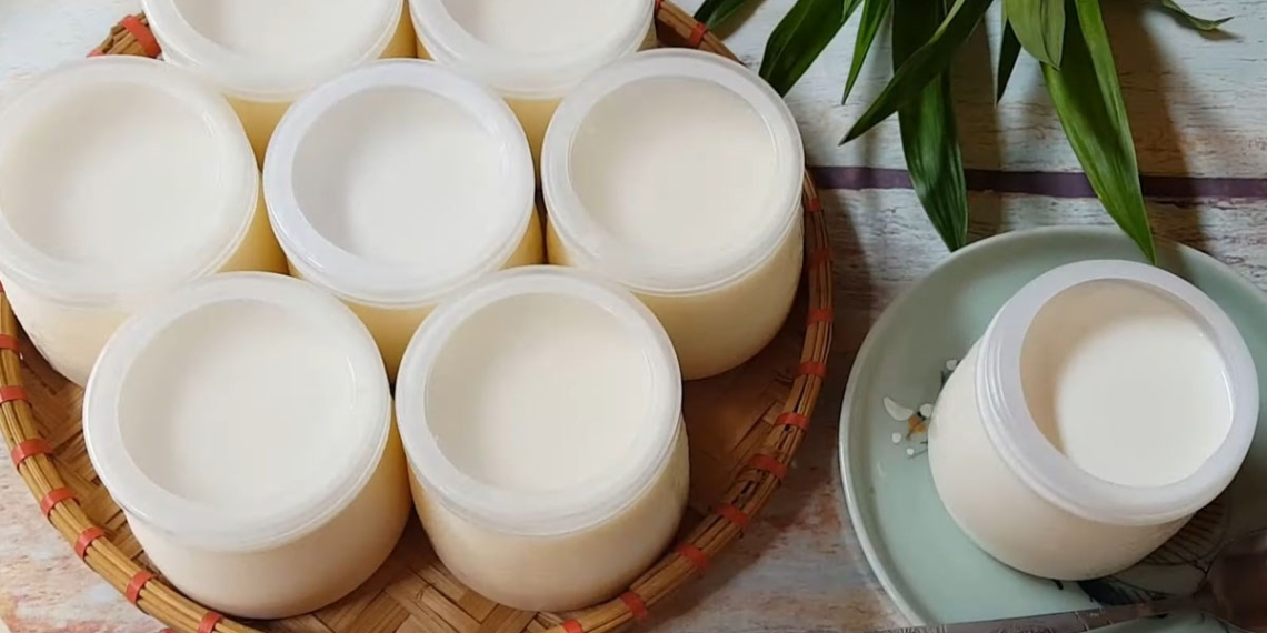 how to make sugar free yogurt delicious at home extremely easy 13629