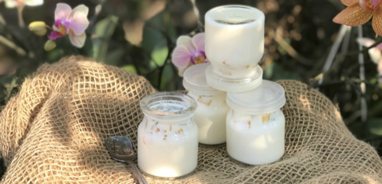 how to make upside down yogurt with oil free fryer 02344