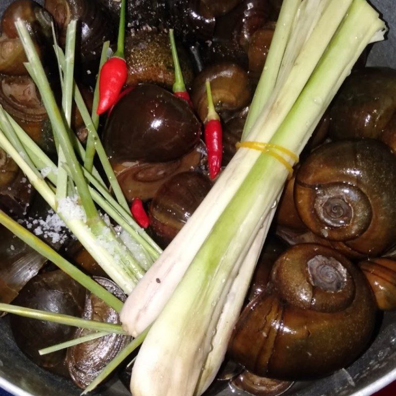 Step 2 Boil the snail Snail steamed with lemongrass dipped in sweet fish sauce