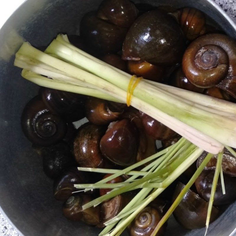 Step 2 Boil the snail Snail steamed with lemongrass dipped in sweet fish sauce