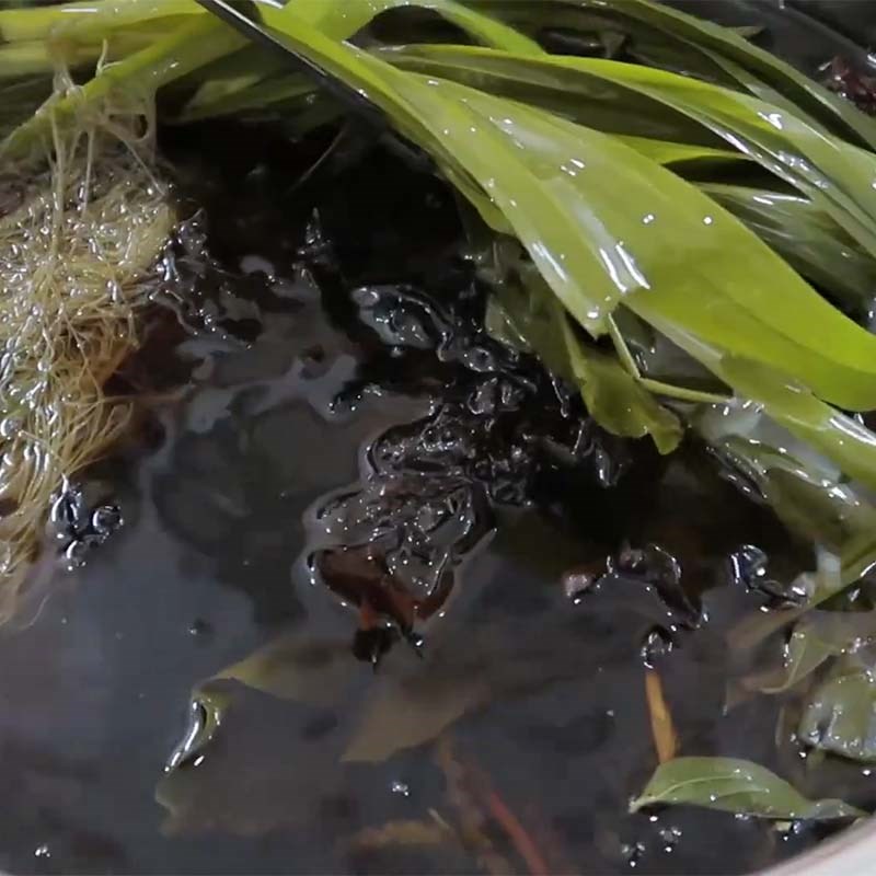 Step 2 Cook the Bundle of Refreshing Drink with Seaweed