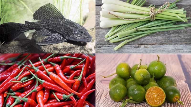 Ingredients for 2 ways to cook steamed glass catfish with lemongrass and young bottle gourd