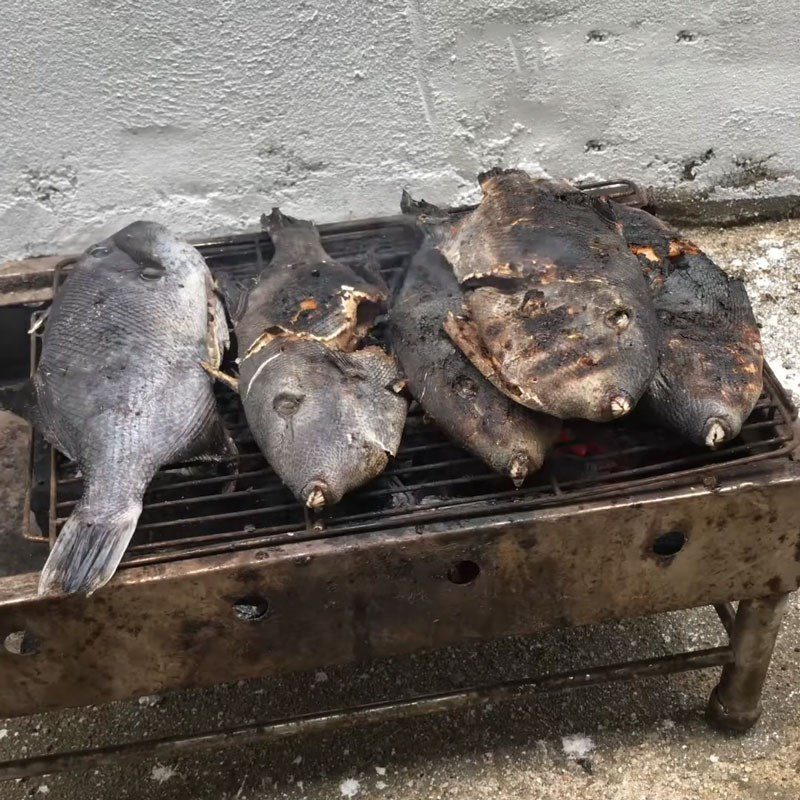Step 2 Grill fish Grilled cowfish