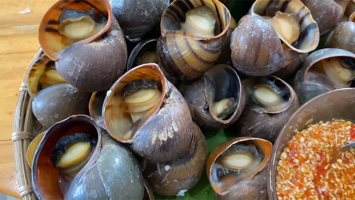 2 ways to make steamed snail with lemongrass served with spicy fish sauce and fragrant milk fish sauce 2 Steamed snails with lemongrass served with spicy fish sauce