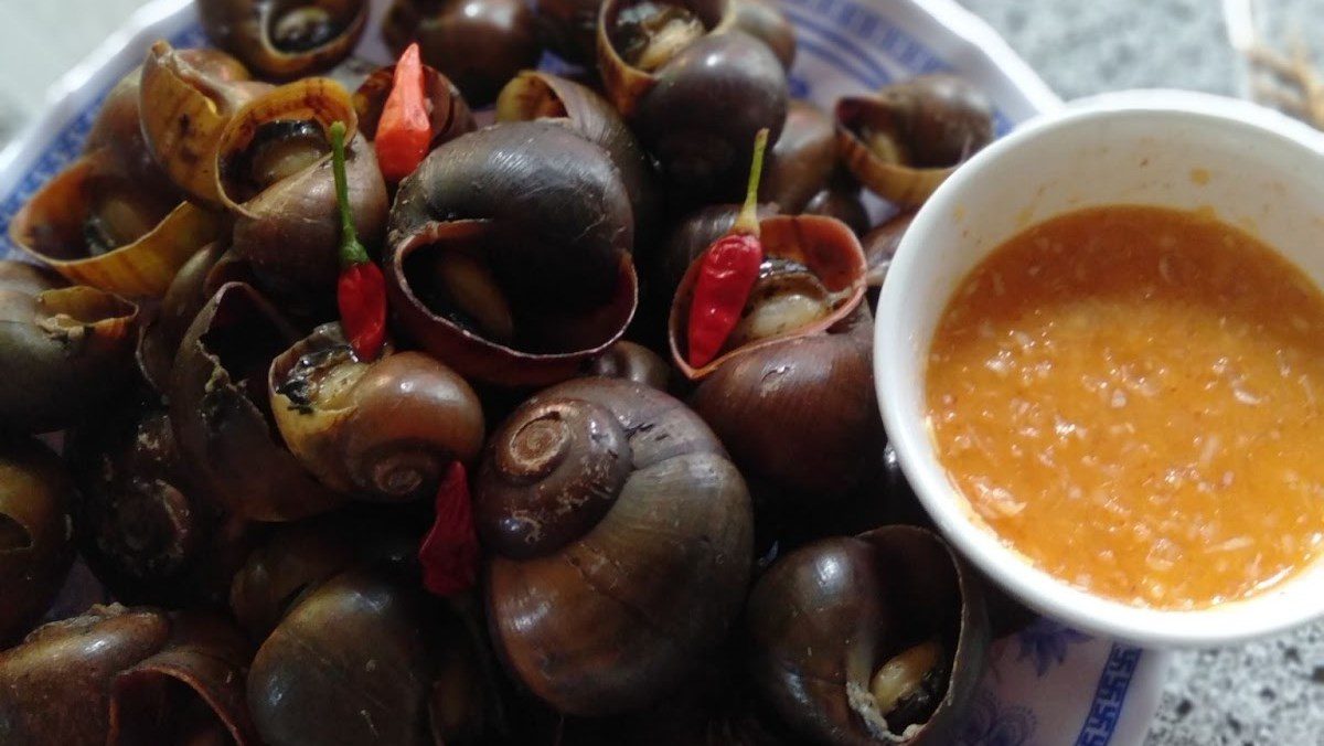 2 ways to make steamed snail with lemongrass served with spicy fish sauce and fragrant milk fish sauce 13 Steamed snail with lemongrass and sweet fish sauce