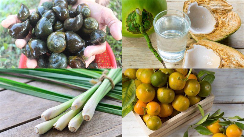 Ingredients for steamed snails with lemongrass and coconut water