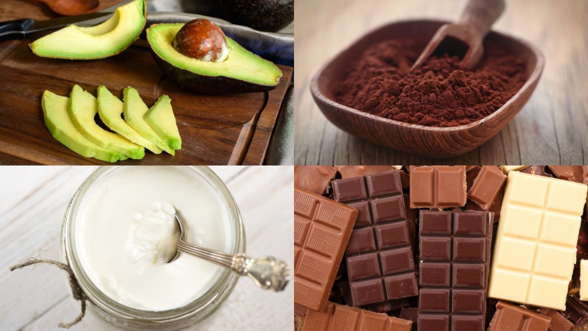 Ingredients for avocado chocolate smoothie